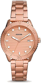 Часы Fossil Dayle BQ3596