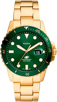 Часы Fossil Fossil Blue FS6030