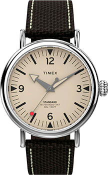 Часы Timex Standard TW2V44100